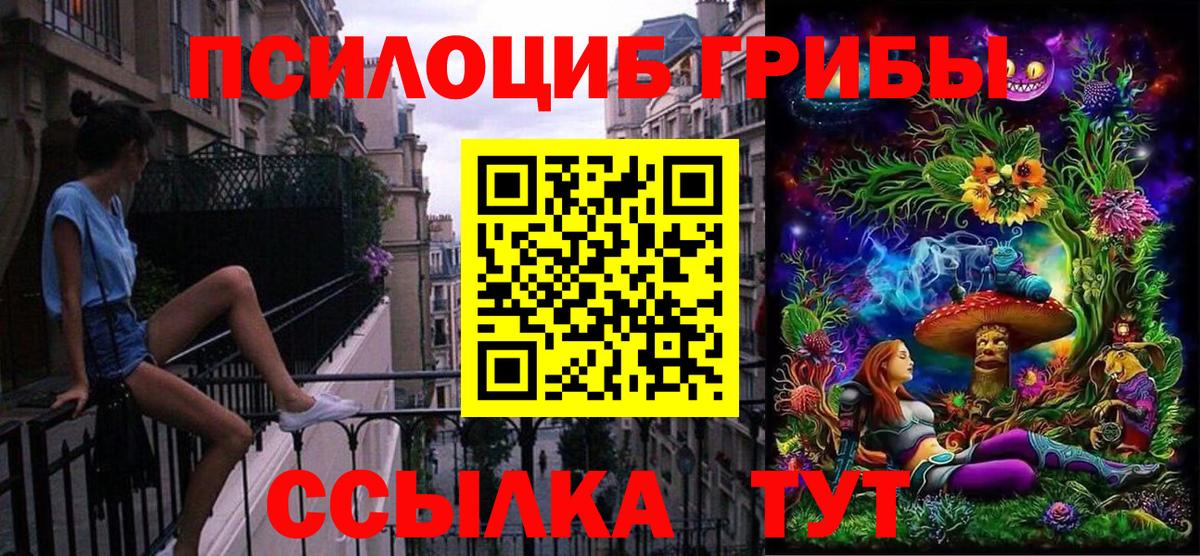 Богданович  Псилоцибиновые грибы MAGIC MUSHROOMS  Вход с VPN 